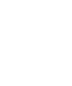Lodge Zottegem Footer Logo 2x